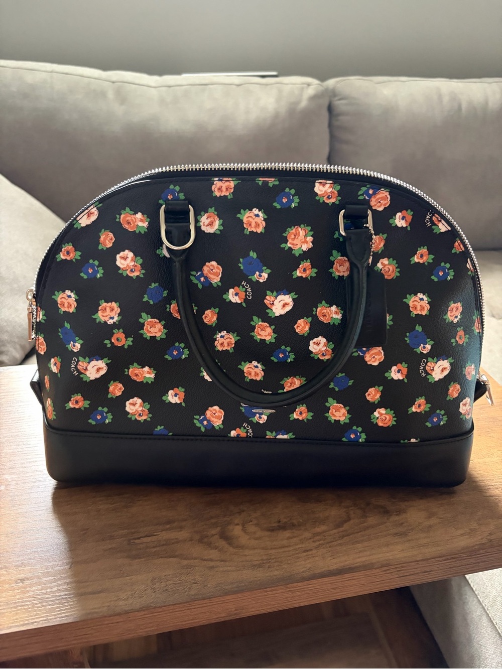 Coach Sierra Dome Satchel